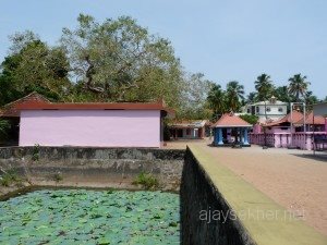 Thrikkarthika vibrant festival Alappuzha