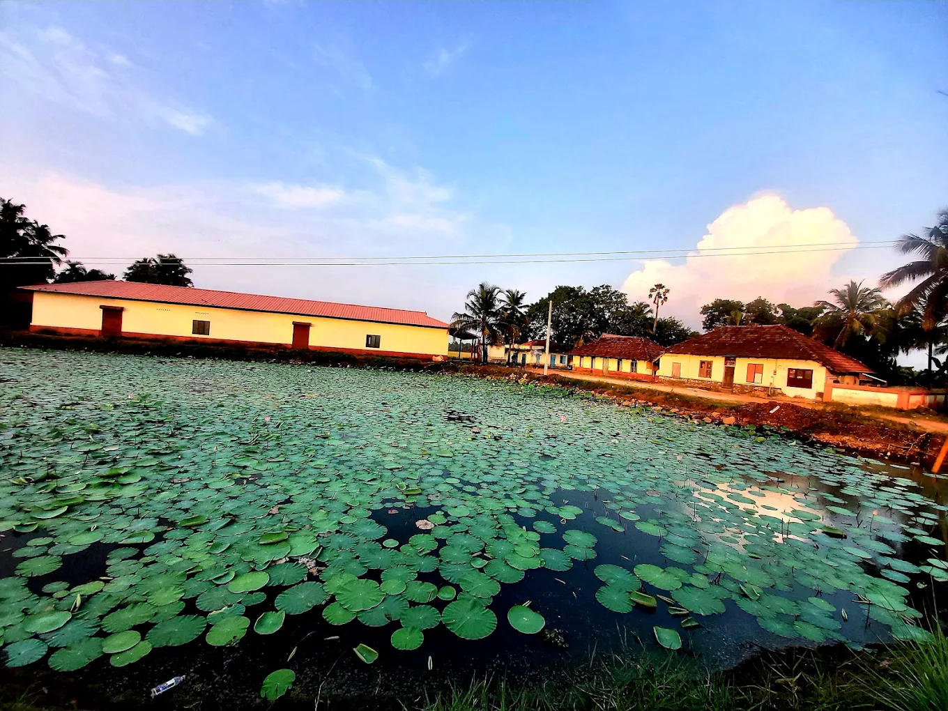 Thiruvonam Pongala Festival
