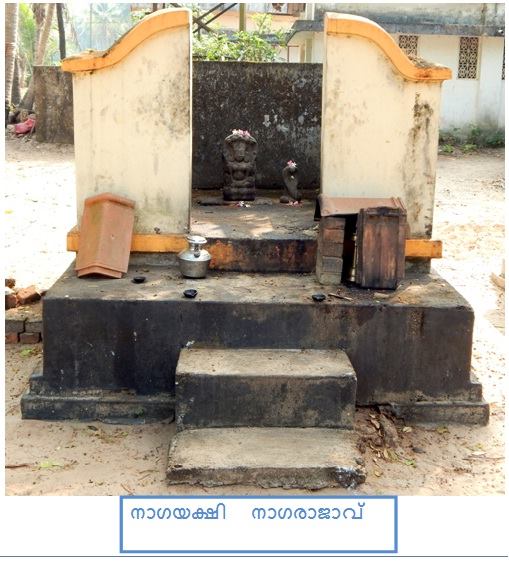 Paingakulam Sree Parthasaradhi Temple 