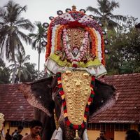 Chettikulangara Sree Bhagavathi is an Shakthi devi in Hinduism