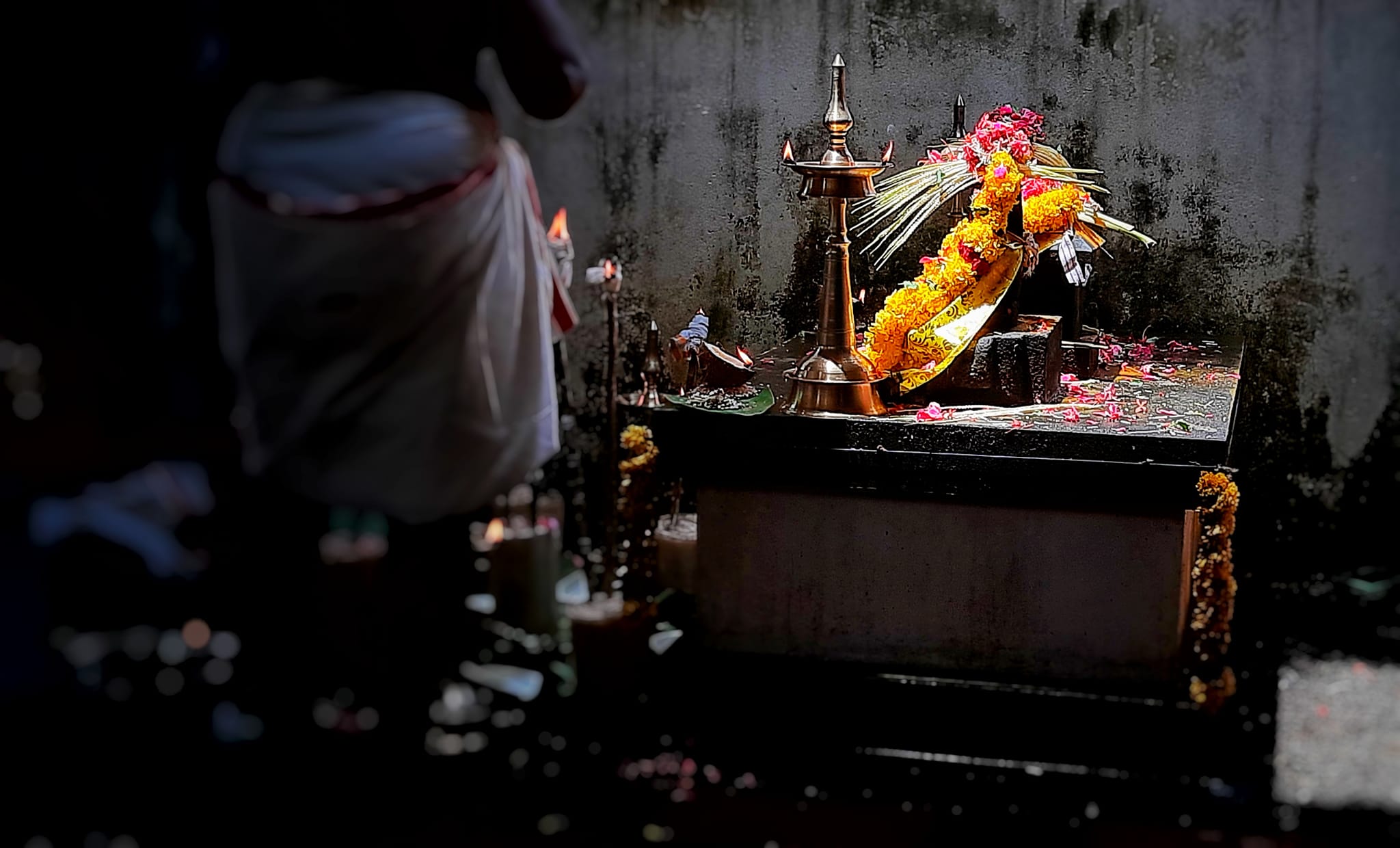  Punartham Maholsavam Alappuzha 
