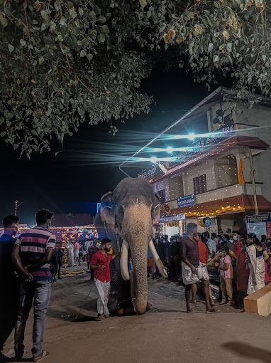 Sree Kumbalath Bhagavathy Temple Ernakulam Dresscode