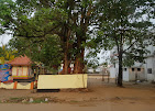 Chettikulangara Sree Bhagavathi Temple Ernakulam Dresscode