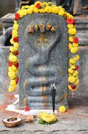 Chettikulangara Sree Bhagavathi Temple Ernakulam Dresscode