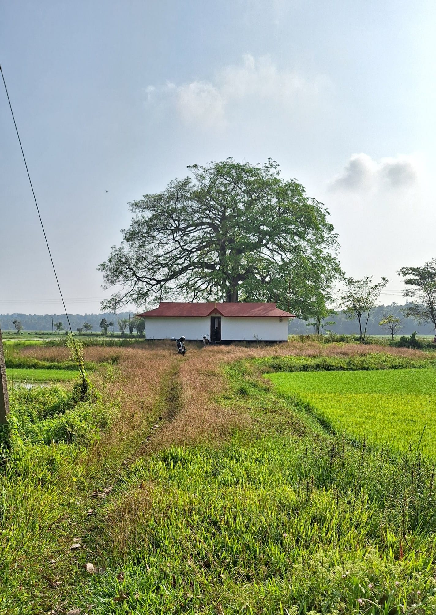 Thazhanchira Bhagavathy Temple