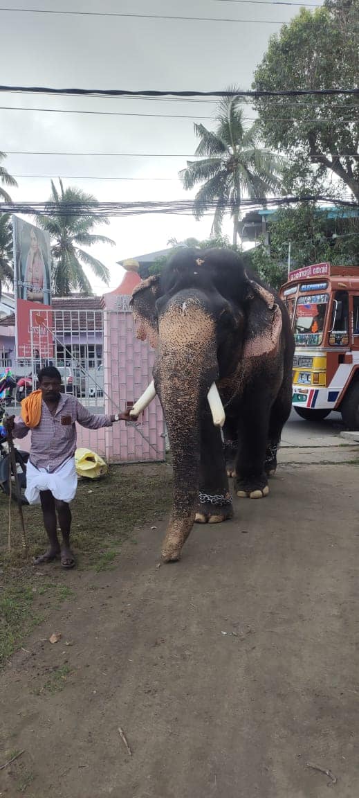 Chettikulangara Sree Bhagavathi Temple Ernakulam Dresscode