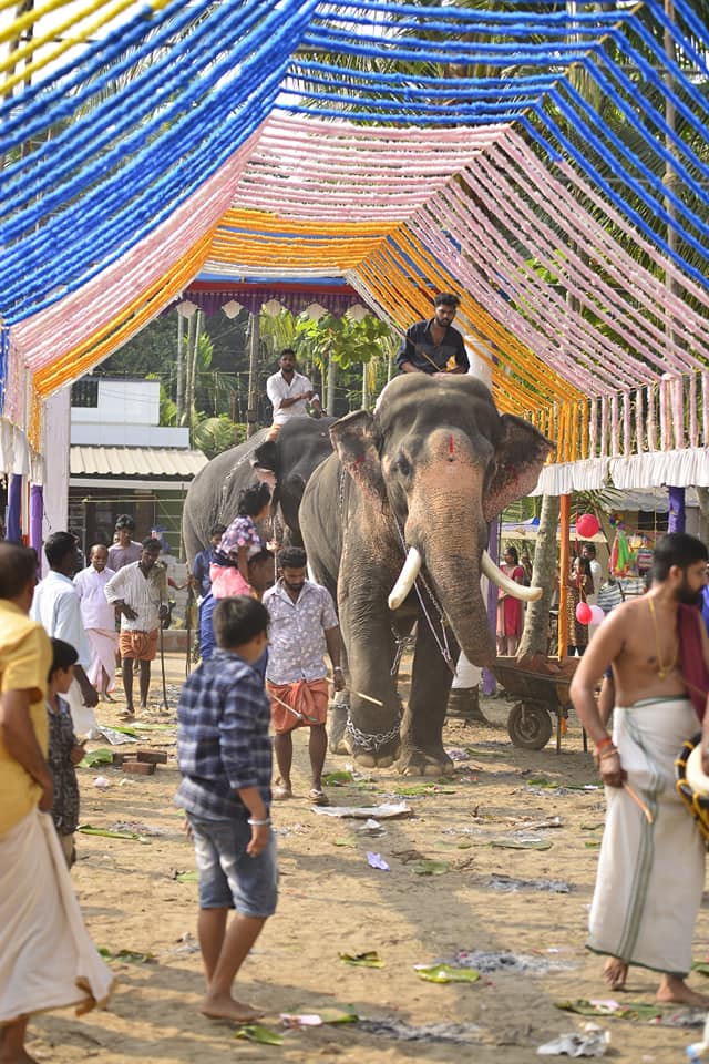 Images of wayanad Ponvelikkavu Devi Temple