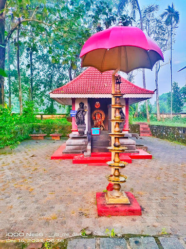 Chettikulangara Sree Bhagavathi Temple Kottayam Dresscode