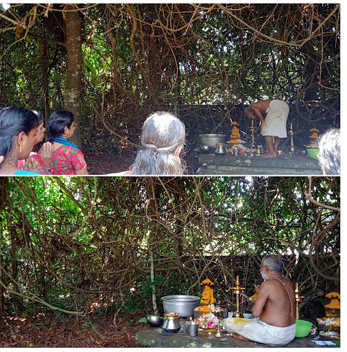 Images of Kottayam Chettikulangara Devi Temple