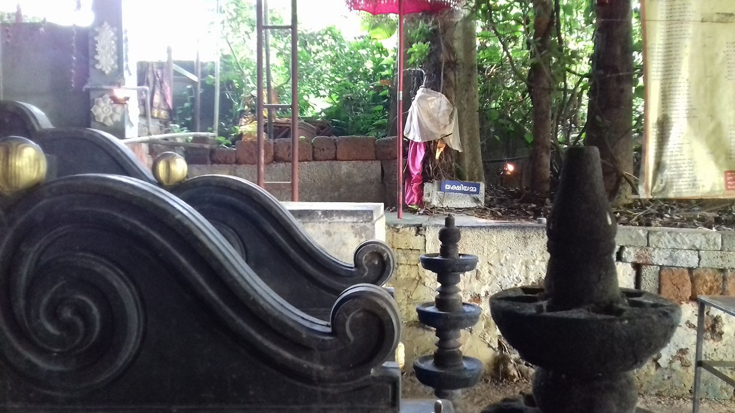 Ayilyam Kaavu Nagaraja Temple 
