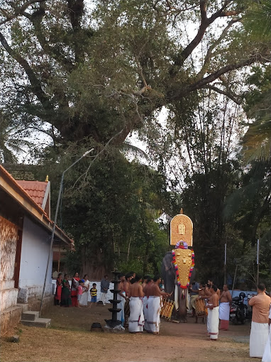Thalikkunu Maha Shiva Temple Prayers and offerings made
