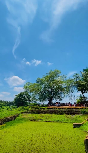 Images of wayanad kumaramangalam muruga Temple