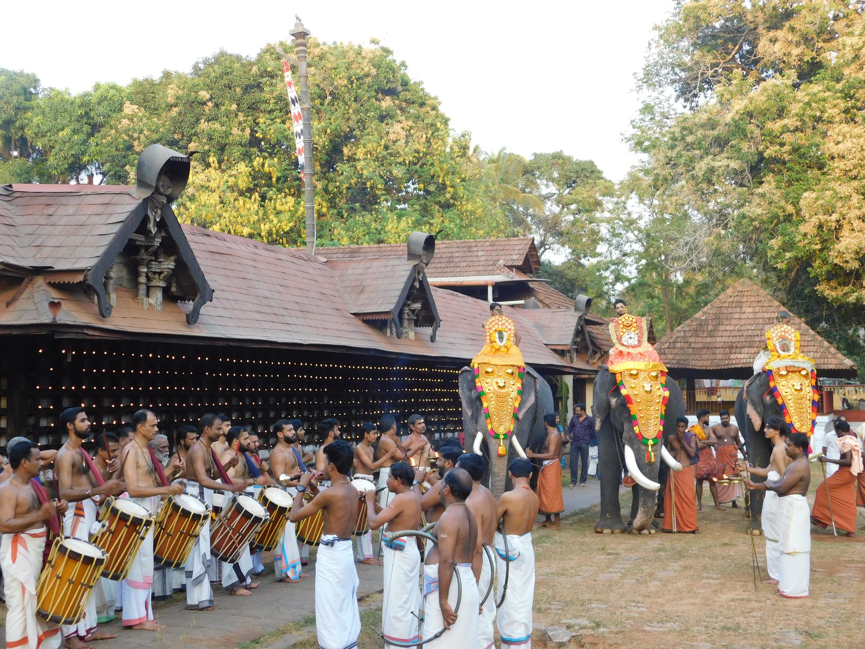  Kalarippayattu attraction in Lokanarkavu Temple