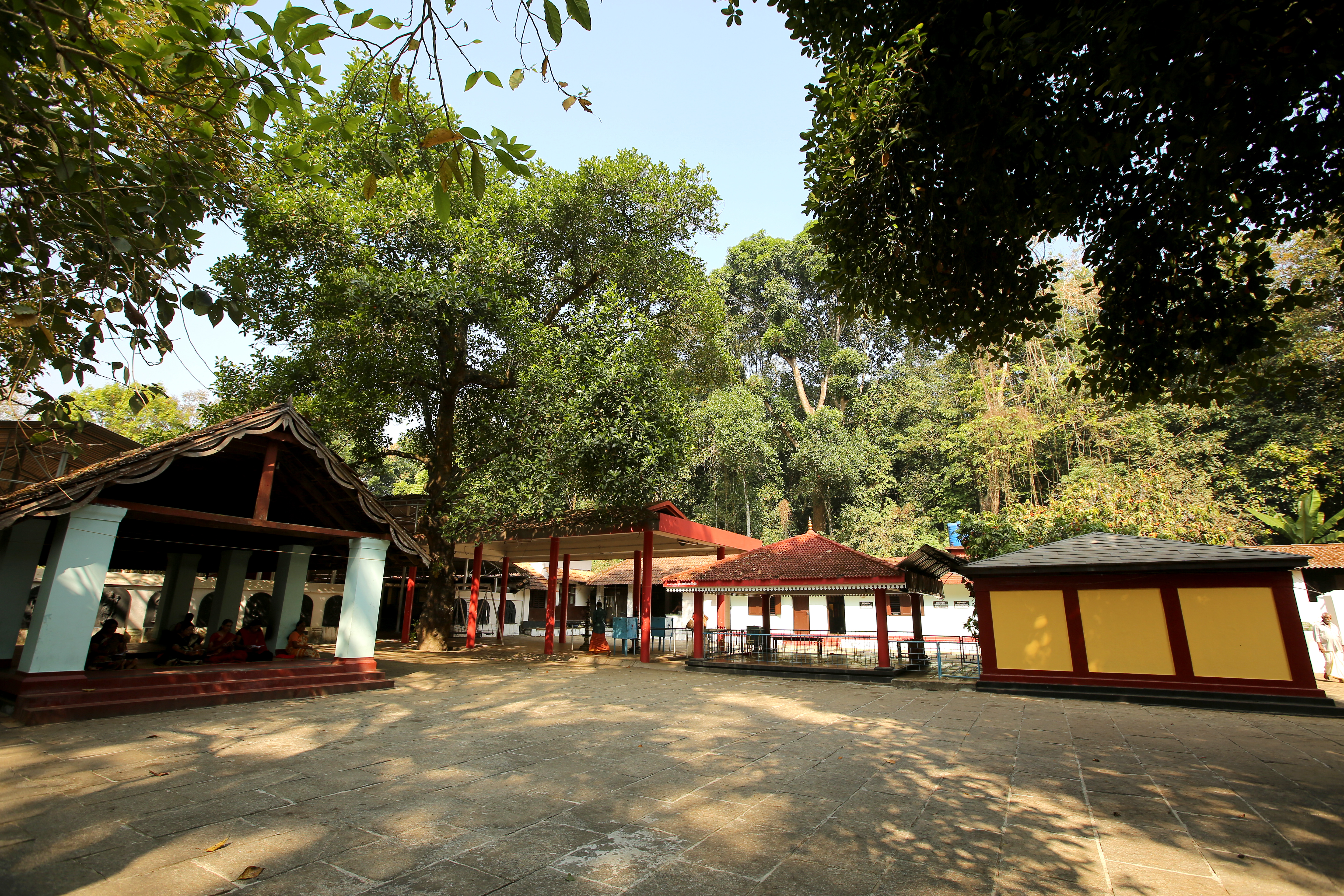 Transpotation in Valliyoorkkavu Temple Wayanad