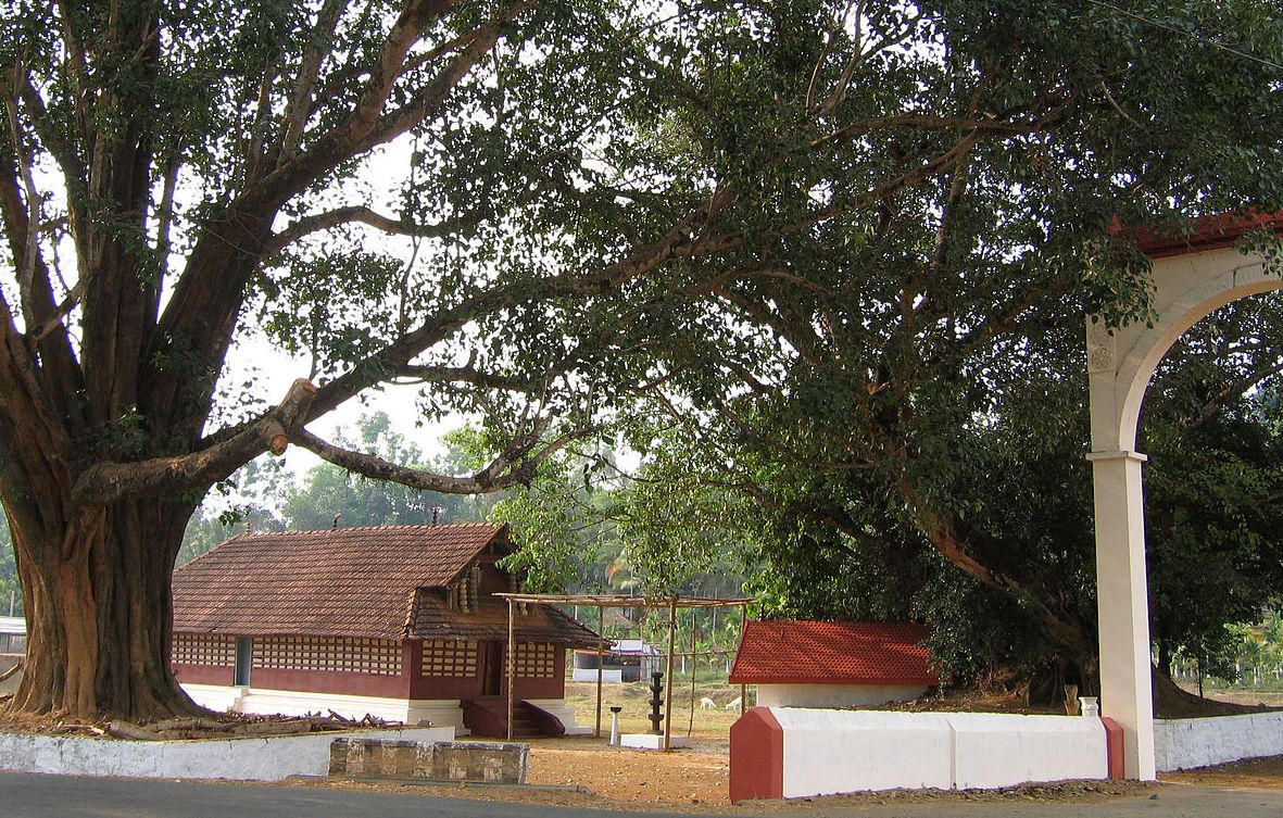 Valliyoorkkavu Temple greenery and rolling hills