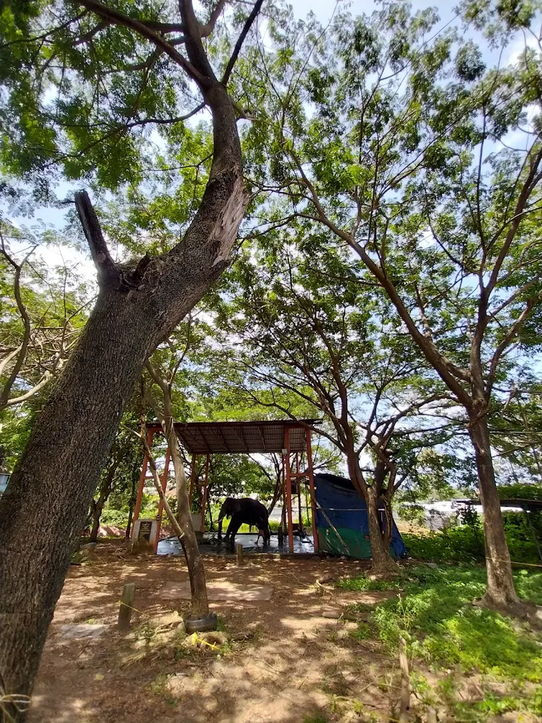 East-facing chathura sreekovil at Kottilakkal Ganapathi Temple