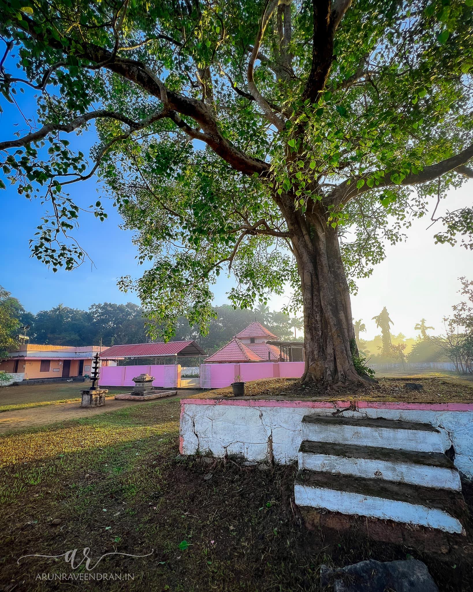 Chettikulangara Temple in Kerala