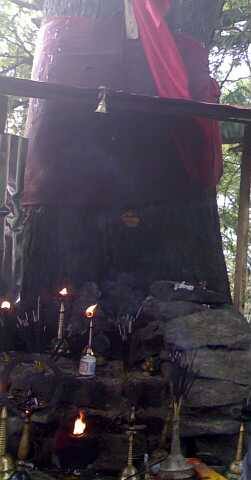 Images of Thrissur Kanakamala Sri Ayiravalli Devi Temple