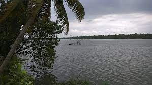 Images of Thrissur Chettikulangara Devi Temple