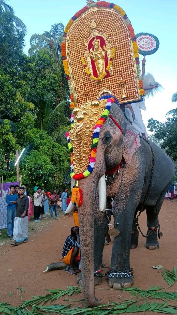 Images of Thrissur Chettikulangara Devi Temple