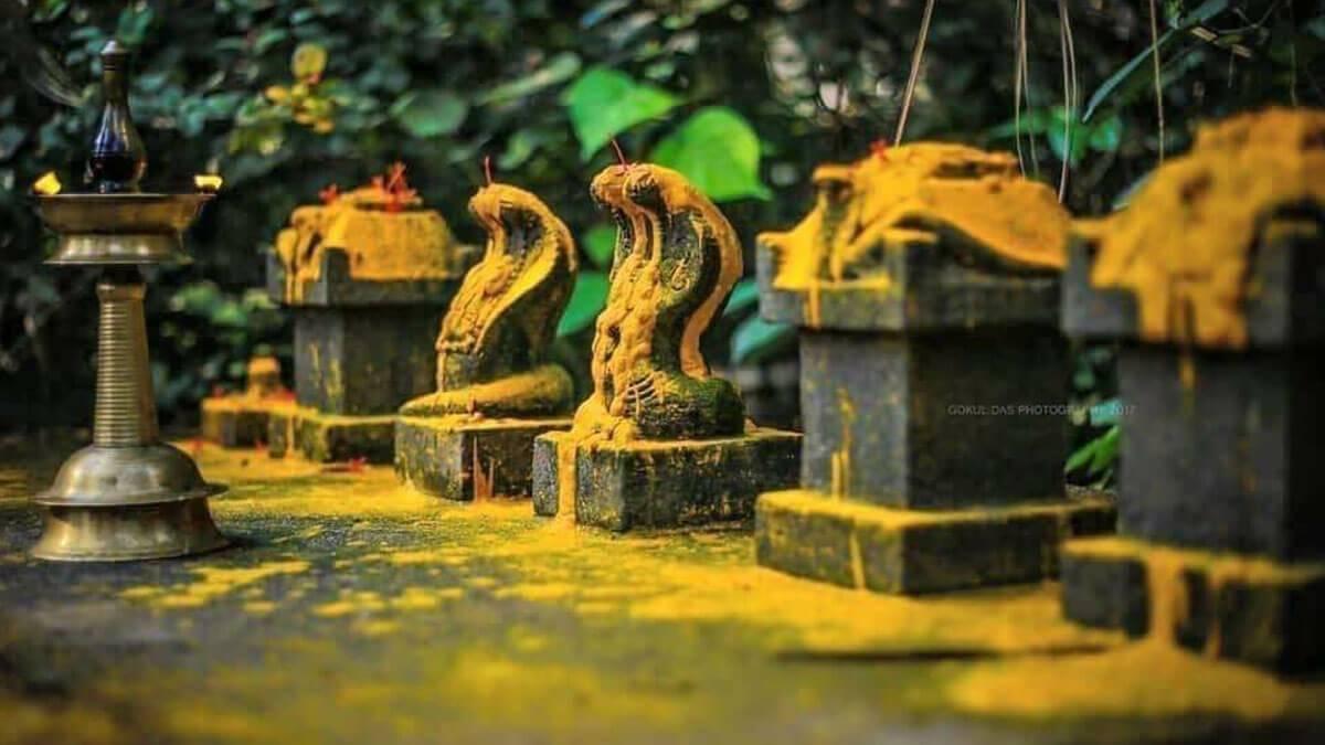 Karaykkattu Vila Sree Nagarkavu Temple