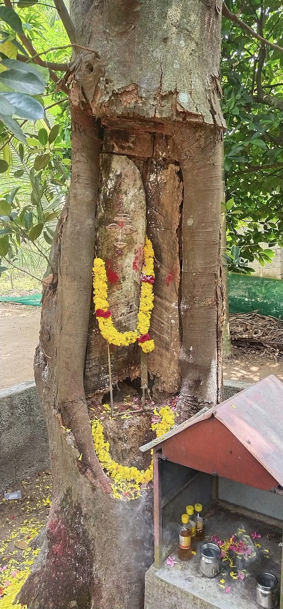 Images of Alappuzha Chettikulangara Devi Temple